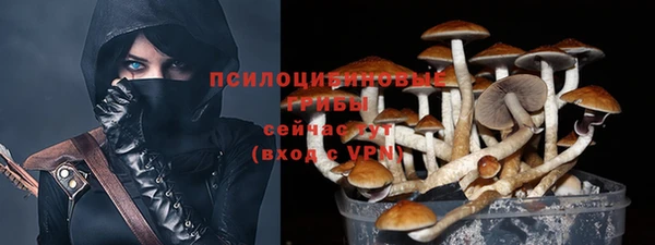 гидра Баксан
