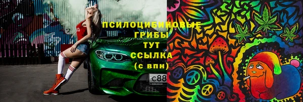 гидра Балахна