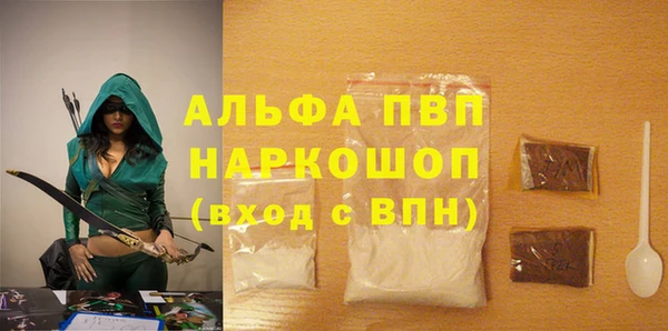 стаф Верея
