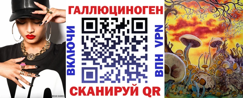 что такое   Краснознаменск  Галлюциногенные грибы MAGIC MUSHROOMS 