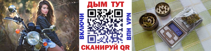 blacksprut маркетплейс Краснознаменск Канабис план как найти закладки